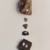 Bague Kerpe d&rsquo;Egle Silko