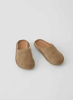 Mules Vibae Roma