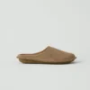 Mules Vibae Roma