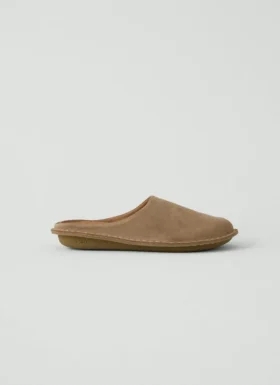 Mules Vibae Roma