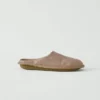 Mules Vibae Roma