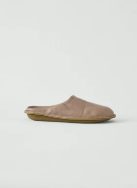 Mules Vibae Roma