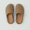 Mules Vibae Roma