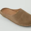 Mules Vibae Roma